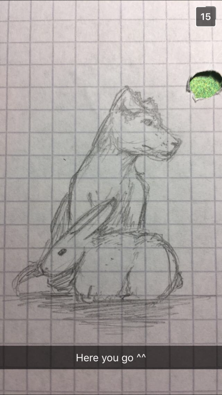 snapchat message of a dog and rabbit sketched on graph paper, captioned 'Here you go ^^'